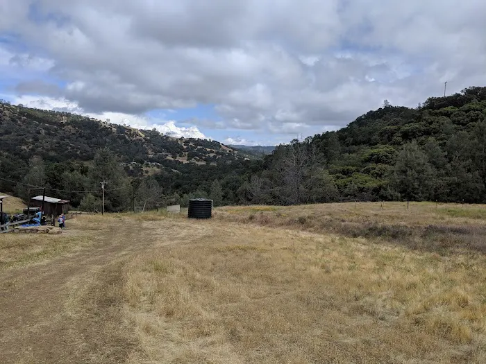 Manzanita Flats Picture 1
