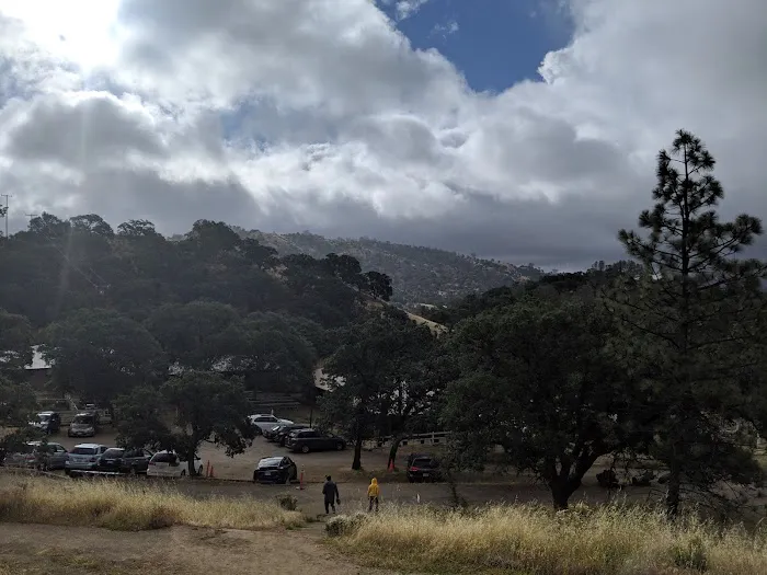 Manzanita Flats Picture 6