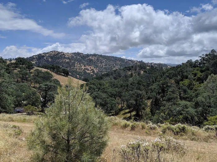 Manzanita Flats Picture 7