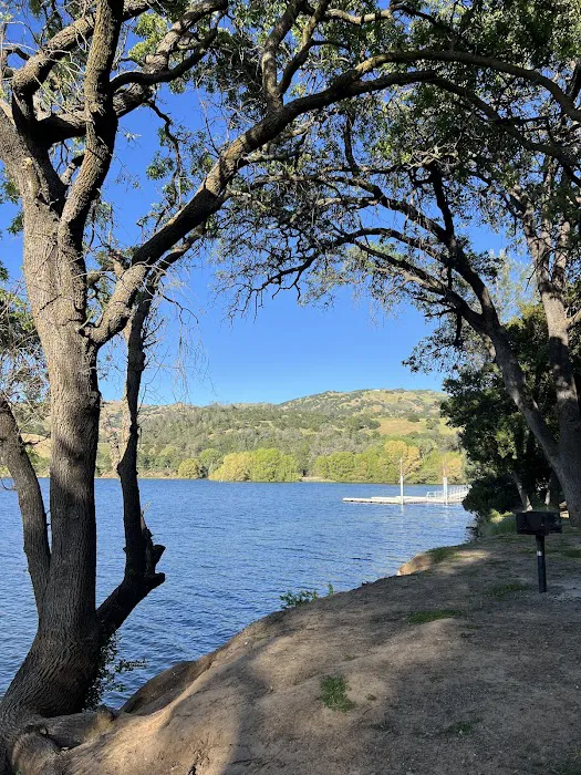Lake Del Valle Family Campground Picture 5
