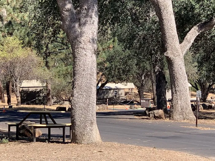 Lake Del Valle Family Campground Picture 3