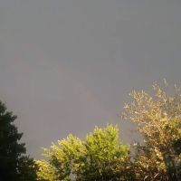 River View Manor Manufactured Home Community ico