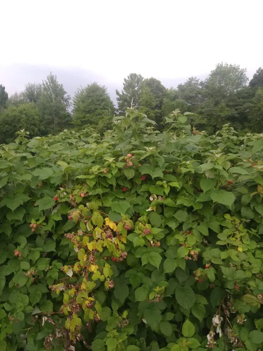 River View Manor Manufactured Home Community Picture 6