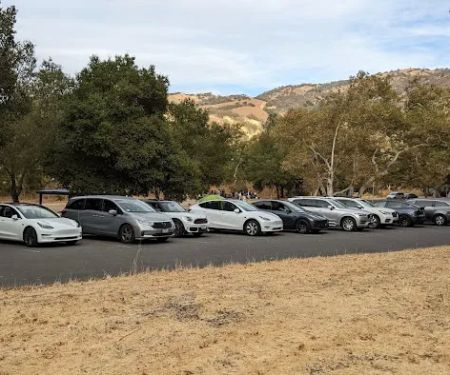 Wild Turkey Group Camp