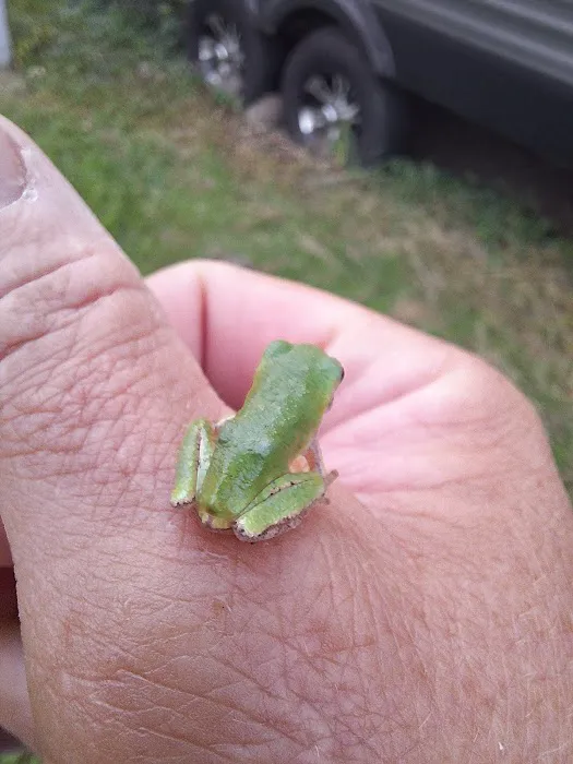 Northern Detour Picture 7