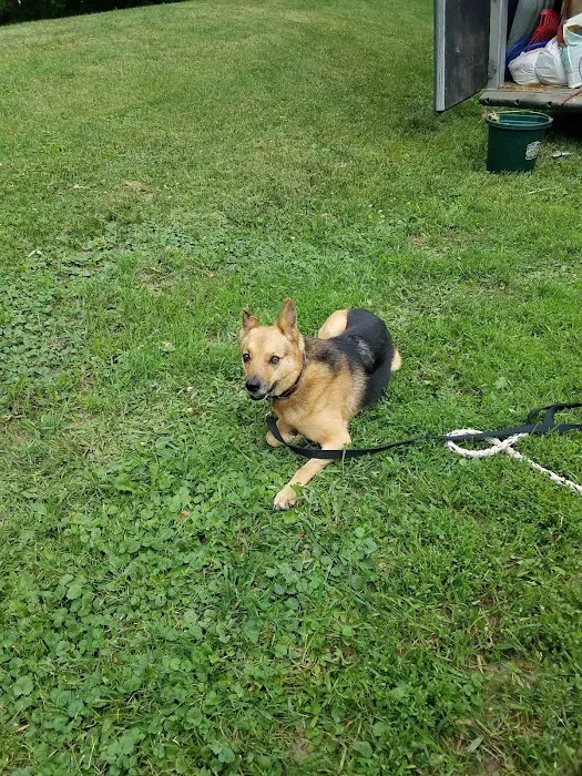 Whispering Bay Resort Picture 8