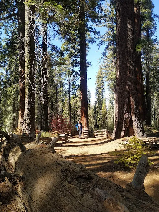 Tuolumne Meadows Campground Picture 2