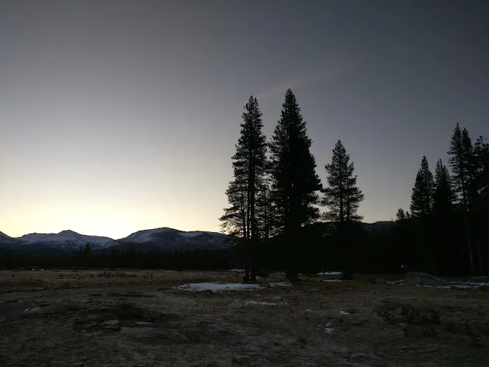 Tuolumne Meadows Campground Picture 7