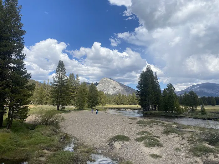 Tuolumne Meadows Campground Picture 4