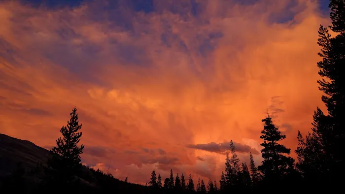 Tuolumne Meadows Campground Picture 5