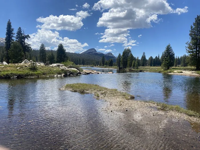 Tuolumne Meadows Campground Picture 6