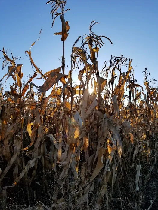 River Bend MHP Inc Picture 6