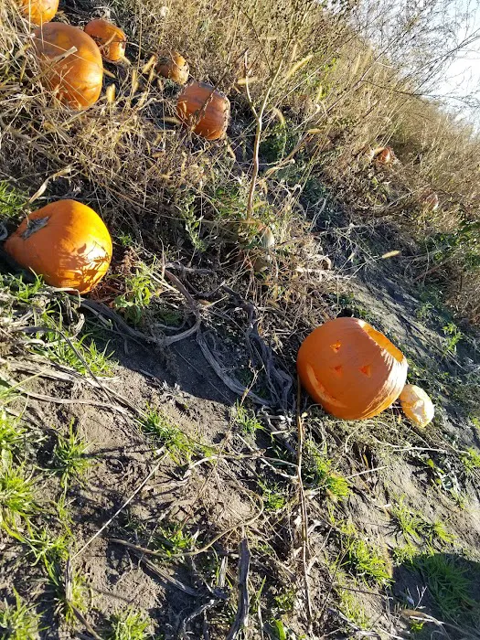 River Bend MHP Inc Picture 5