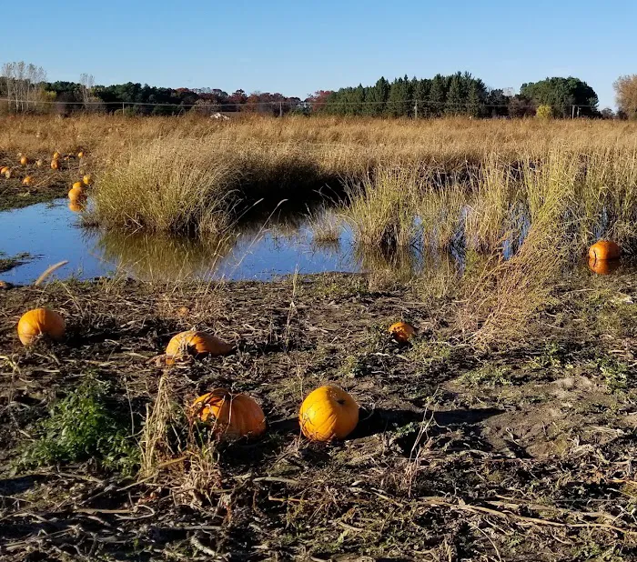 River Bend MHP Inc Picture 2