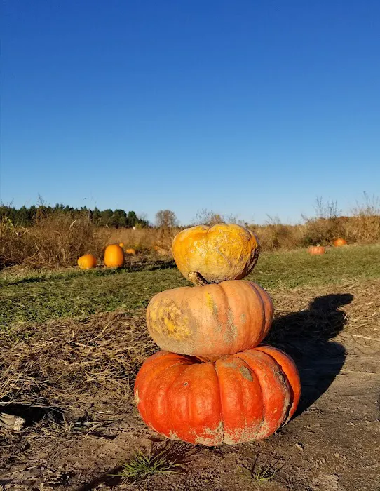 River Bend MHP Inc Picture 1