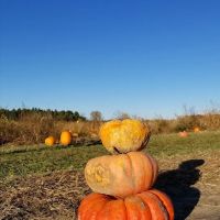 River Bend MHP Inc ico