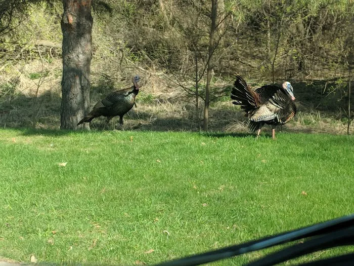 Lakeside North (MHP) Picture 5