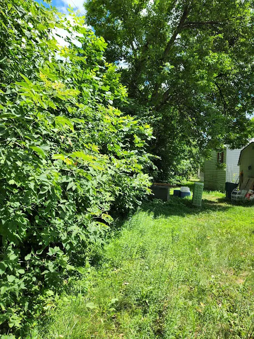 Lakeside North (MHP) Picture 4