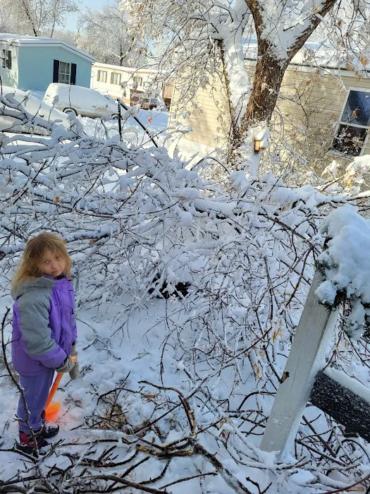 Lakeside North (MHP) Picture 9