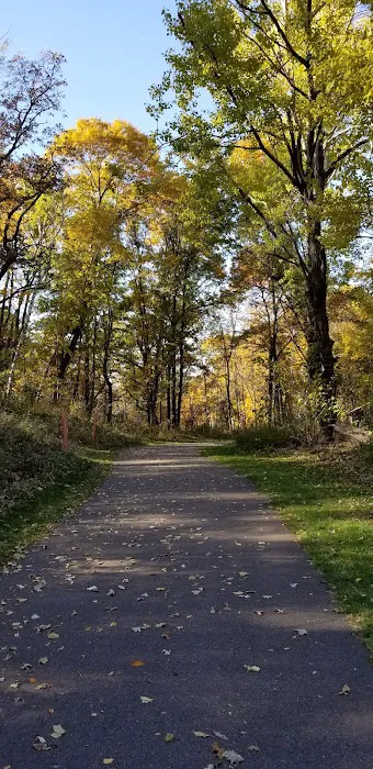 Townsedge Terrace Picture 2