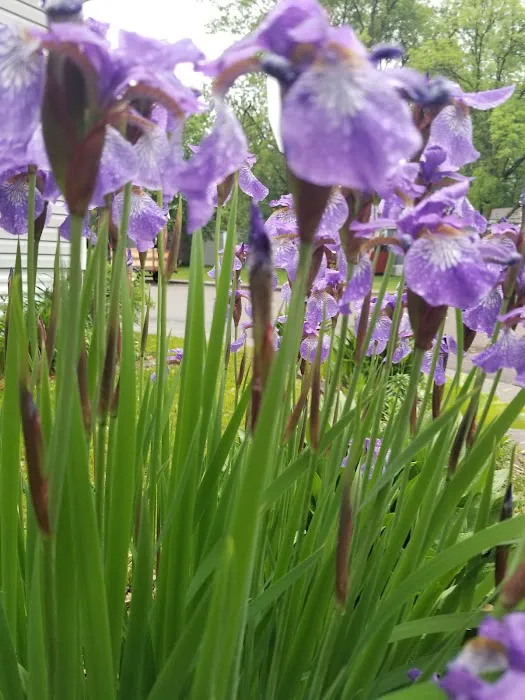 Townsedge Terrace Picture 4