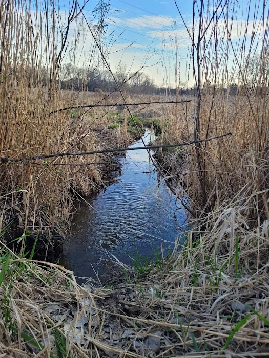 Townsedge Terrace Picture 9