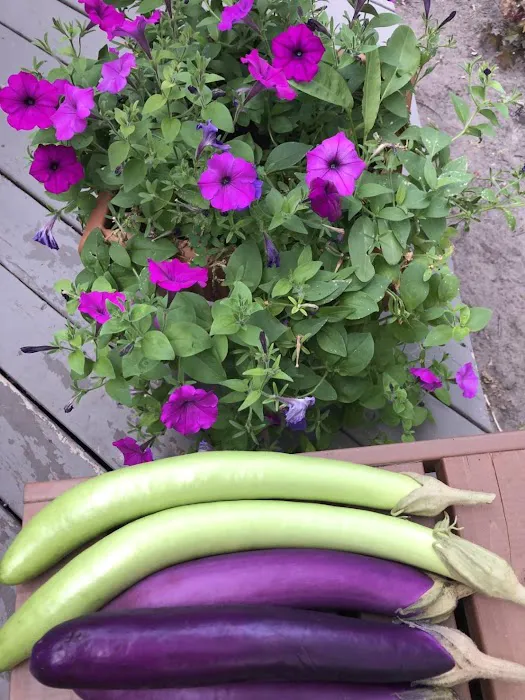 Moundsview Picture 1