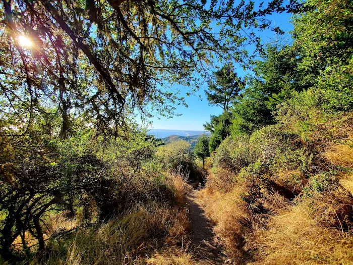 Sky Campground Picture 10