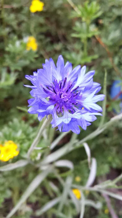 Sunnyside Mobile Home Park Inc Picture 9