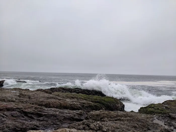 Coast Campground Picture 7