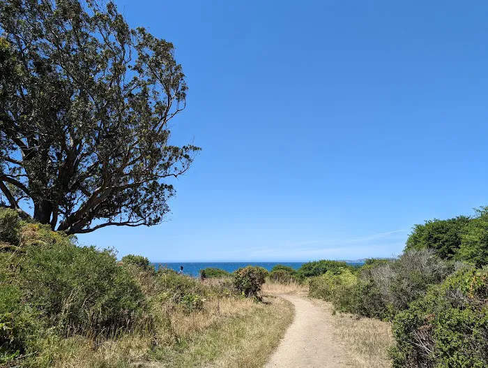Coast Campground Picture 6