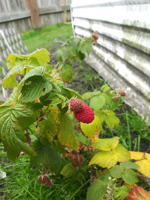 Fridley Terrace Mobile Home Community Picture 8