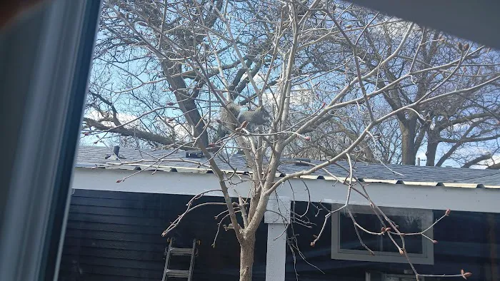 Fridley Terrace Mobile Home Community Picture 9