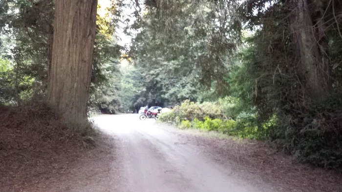 Reef Campground Picture 1