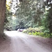 Reef Campground ico