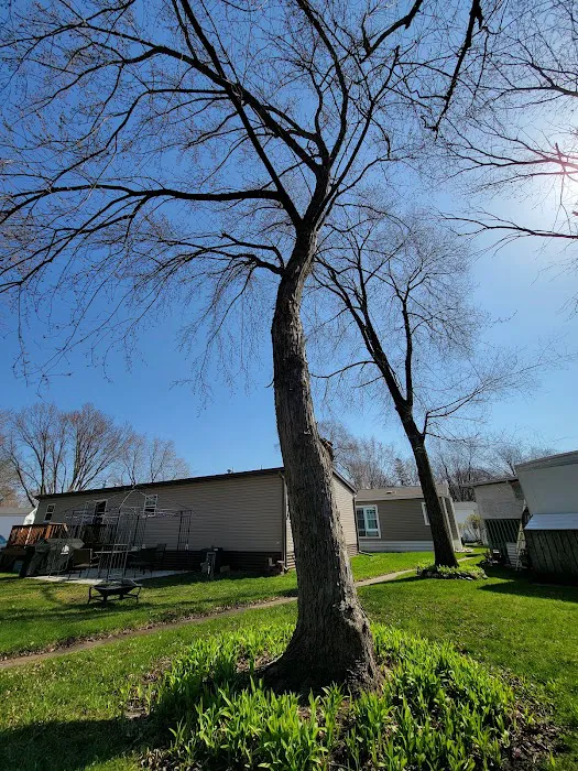 Centennial Square Manufactured Homes Picture 3