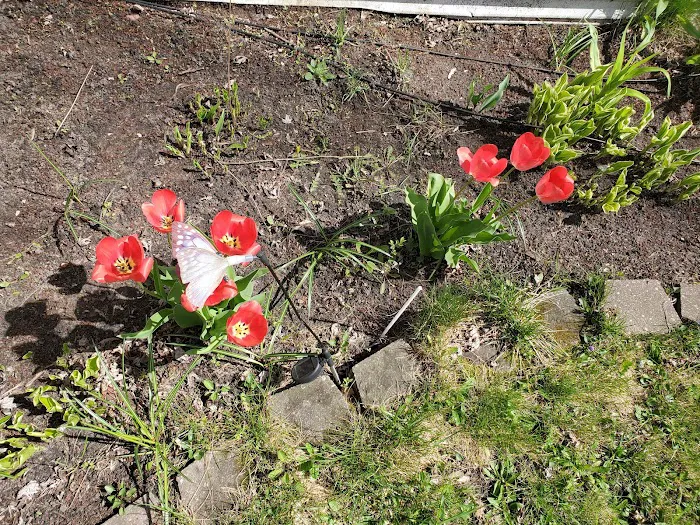 Centennial Square Manufactured Homes Picture 9