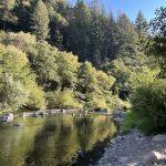 Trout Creek Campground