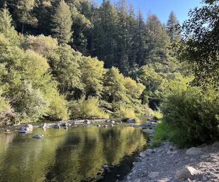 Trout Creek Campground