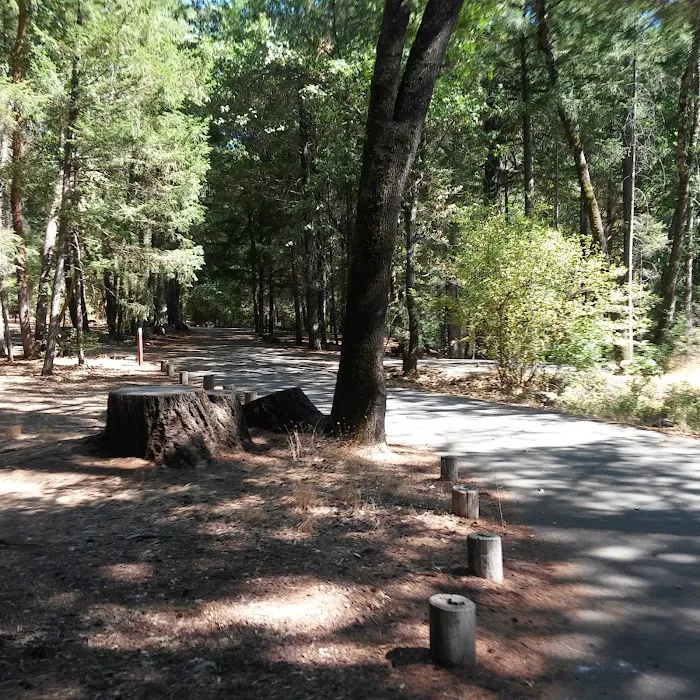 Trout Creek Campground Picture 2