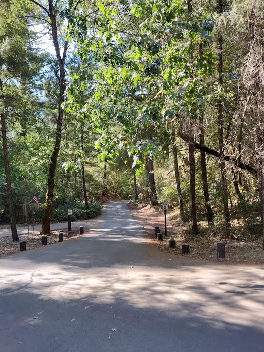 Trout Creek Campground Picture 4
