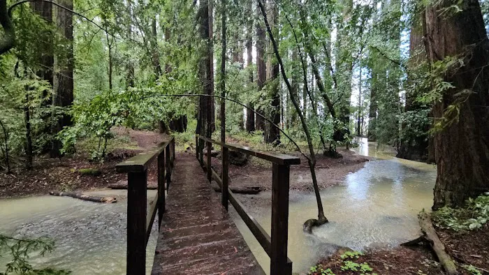 Azalea Campground Picture 3