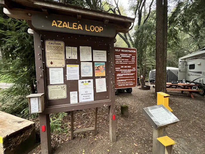 Azalea Campground Picture 1