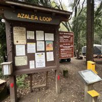 Azalea Campground ico