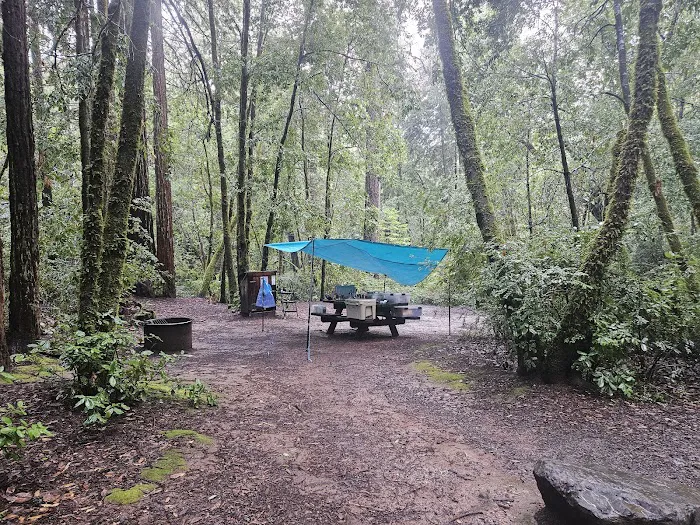 Azalea Campground Picture 2