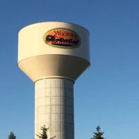 Birchwood Terrace ico