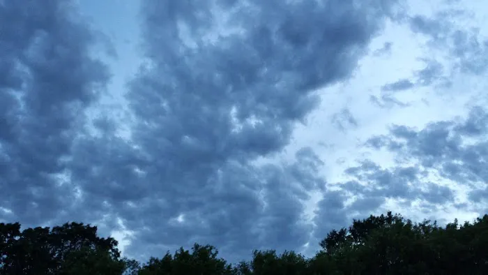 Birchwood Terrace Picture 7