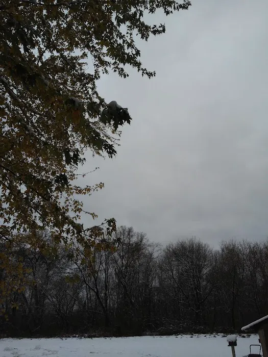 Birchwood Terrace Picture 10