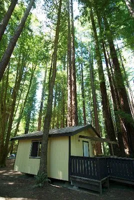 Camp Navarro Picture 2