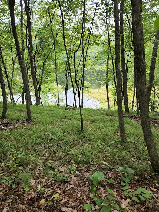 Lakeview Park Inc. Picture 4